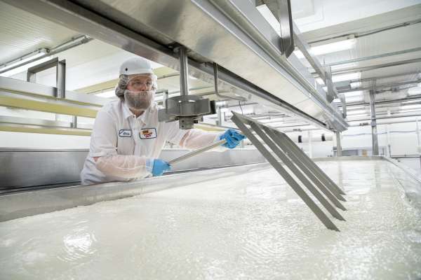 Cheese and dairy production facility